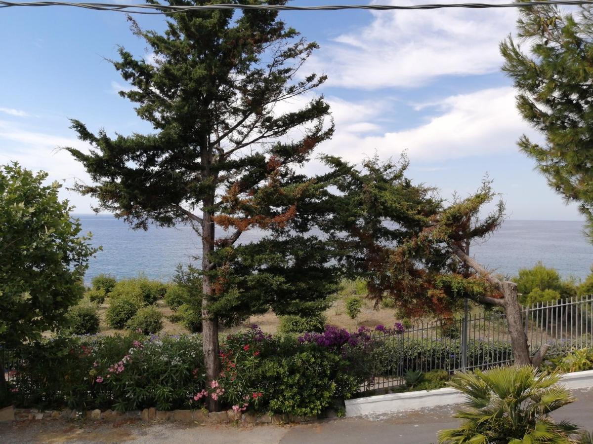Villaggio Turistico La Vesca Sanremo Exterior photo